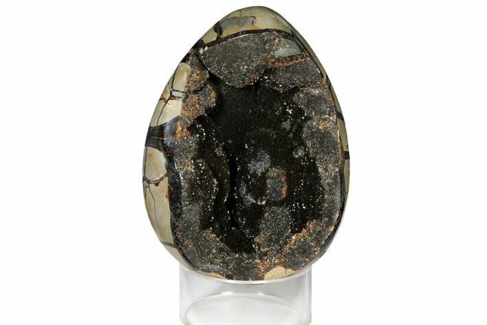 Septarian Dragon Egg Geode - Black Crystals #123053